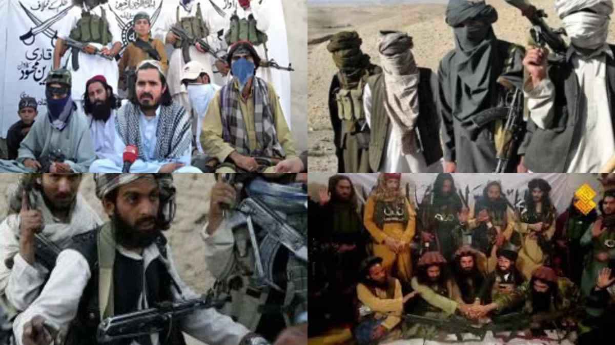 hafiz gul bahadur group (4) hafiz gul bahadur group (4)