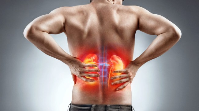 kidney beans-1-2-3-4