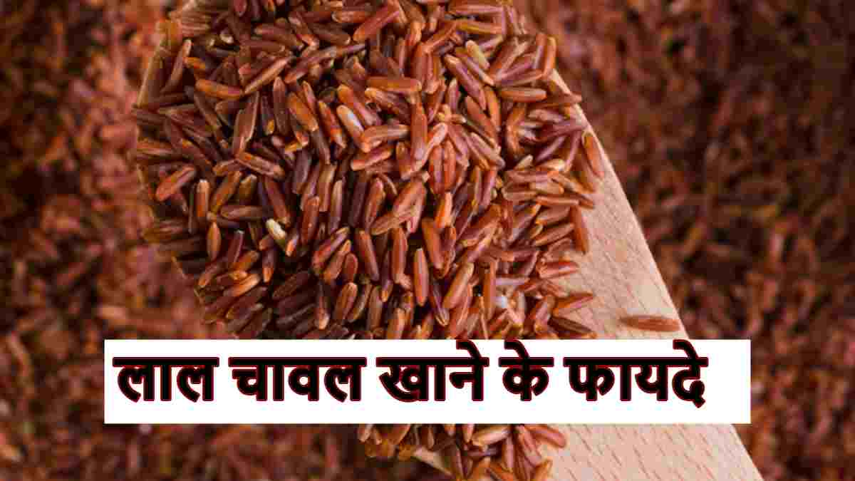 Rajamudi Rice Benefits