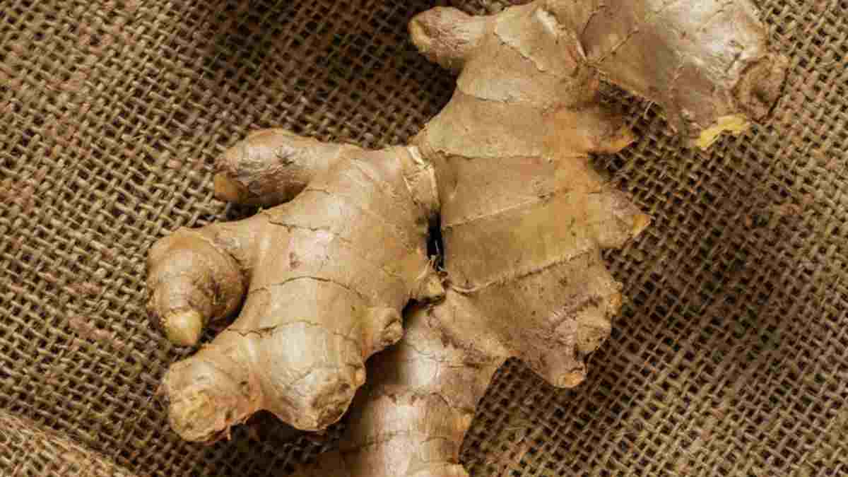 Amazing Ginger Benefits