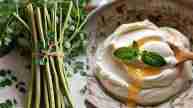 Curd VS Moringa