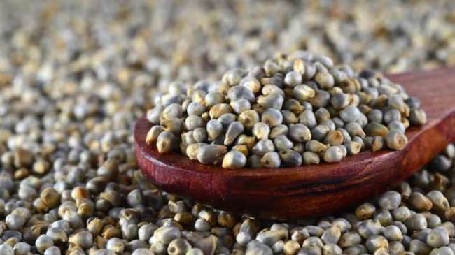 bajra side effects-1-2-3-4-5-6-7-8-9