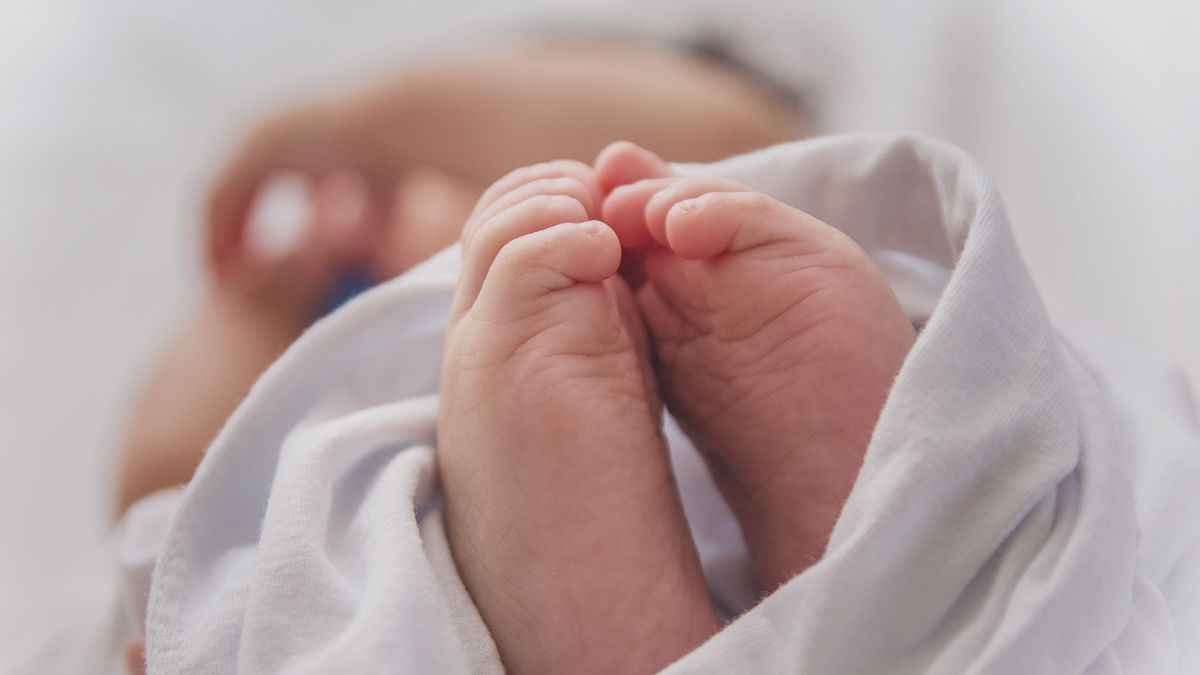 लखनऊ एयरपोर्ट पर कूर‍ियर में मिला भ्रूण, चैकिंग के दौरान मचा हड़कंप