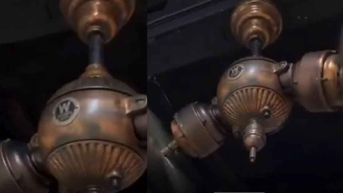 Antique Fan
