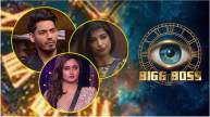 Bigg Boss 18 Digvijay Rathee Priyanka Jagga Rashami Desai