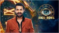 Bigg Boss 18 Karan Veer Mehra