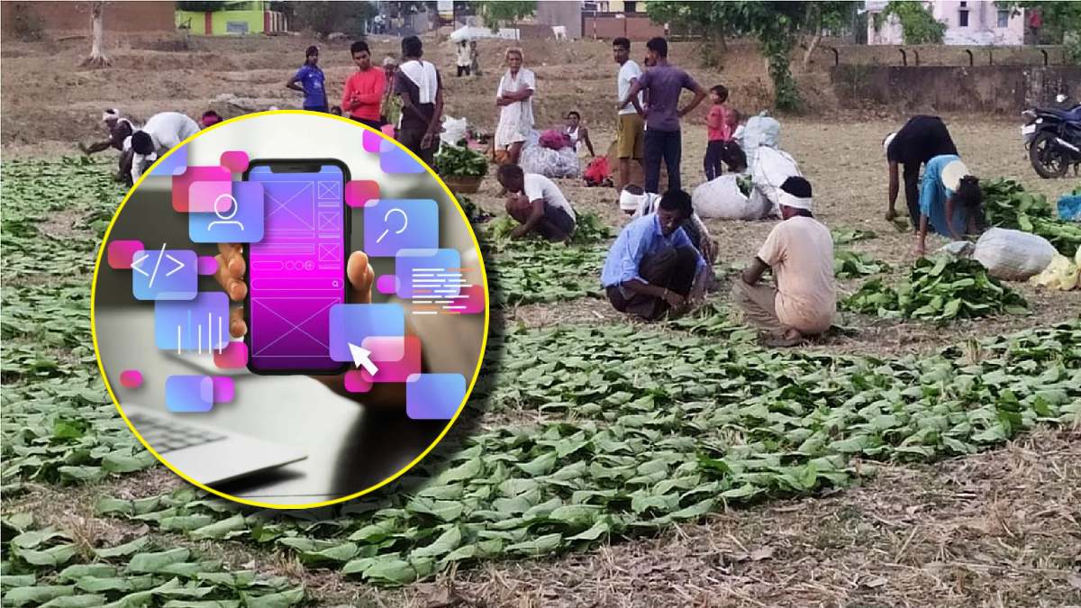 Chhattisgarh Tendu Leaf Collection Process Online Monitoring