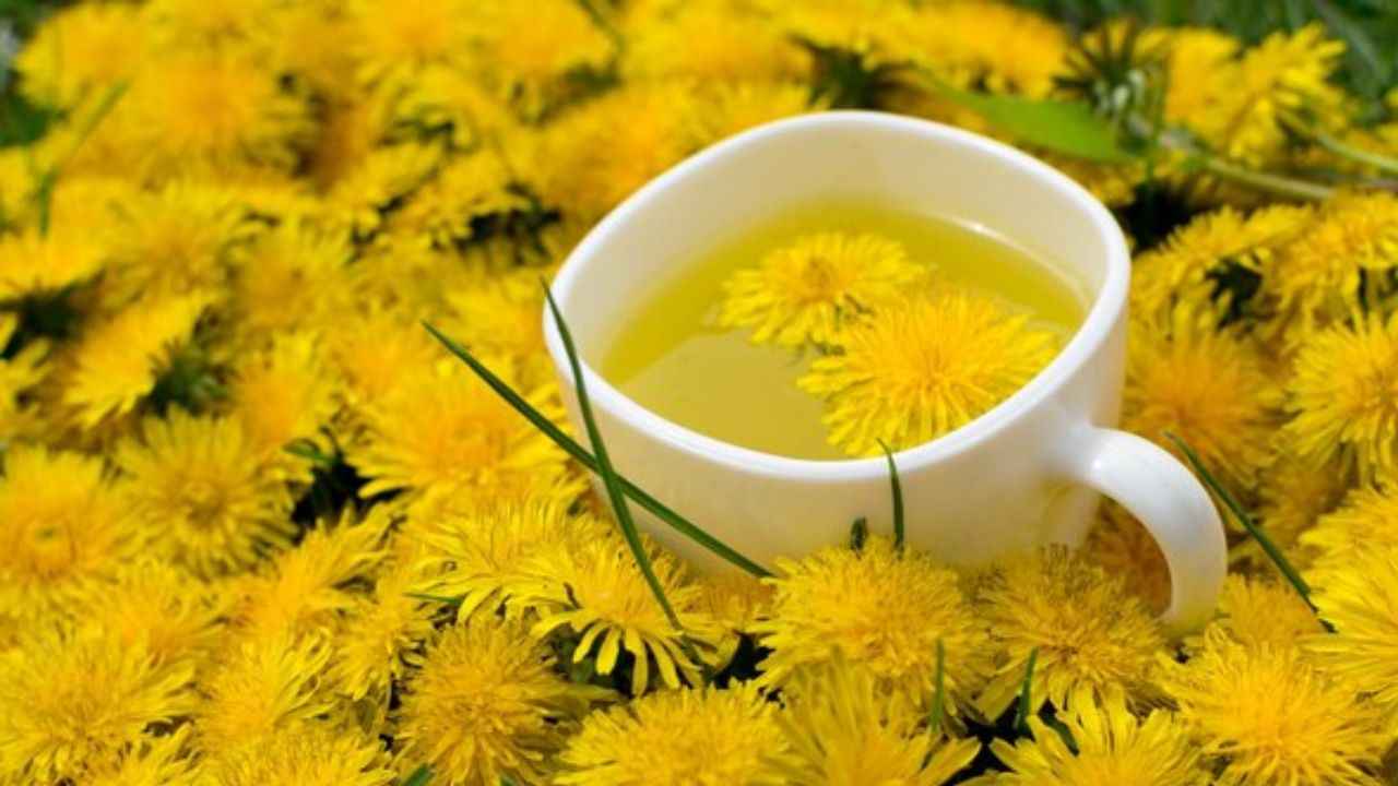 5 Herbal Tea के 5 फायदे, दूध वाली चाय से बेहतर? पेट से जुड़ी बीमारियां रहेंगी दूर