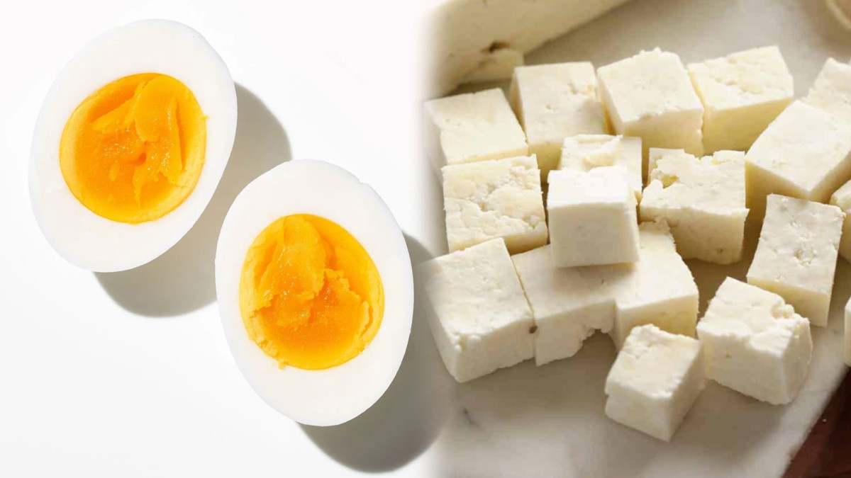 Egg VS Paneer