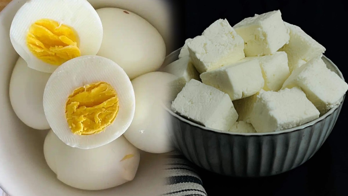 Egg VS Paneer 