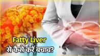 Fatty Liver