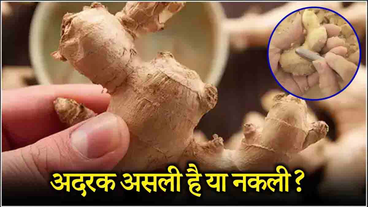 Ginger Real or Fake side effects and benefits of consuming adrak