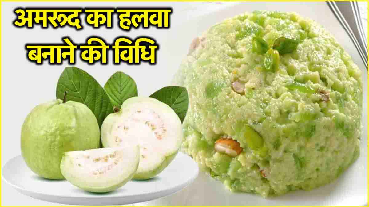 Guava Halwa Recipe: सर्दी-जुकाम के छुटकारा दिलाएगा अमरूद का हलवा, जानें रेसिपी