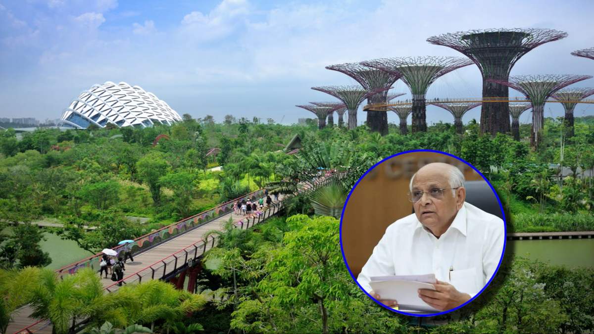 Gujarat Built Asia's Largest Urban Forest