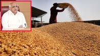 Gujarat Government Big Announcement Regarding Purchase Of Wheat