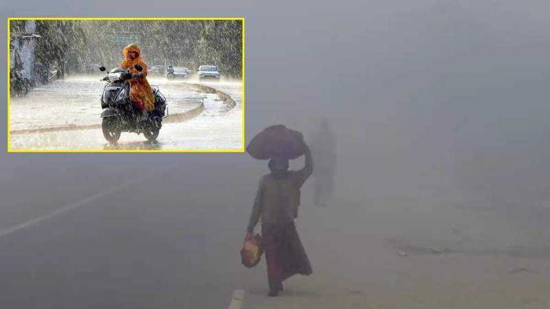 Gujarat Weather Update (15)