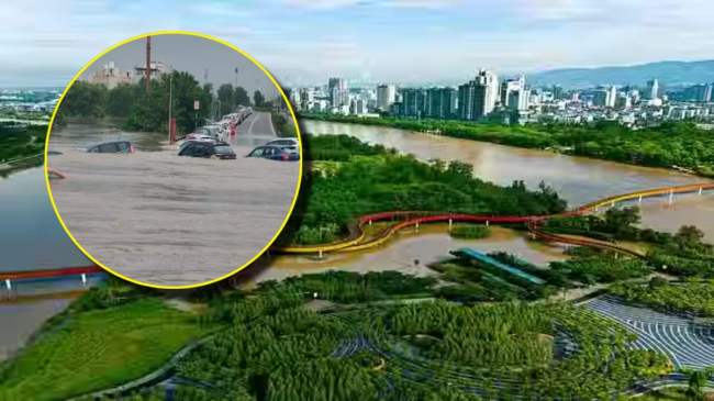 Gujarat Will Be Built Sponge Park