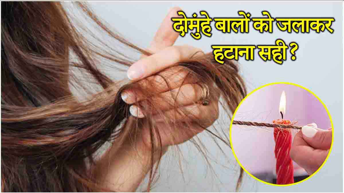 Split Ends Hair Treatment: क्या आप भी दोमुंहे बालों को हटाने के लिए अपनाते हैं ये तरीके? जान लें इनके नुकसान  