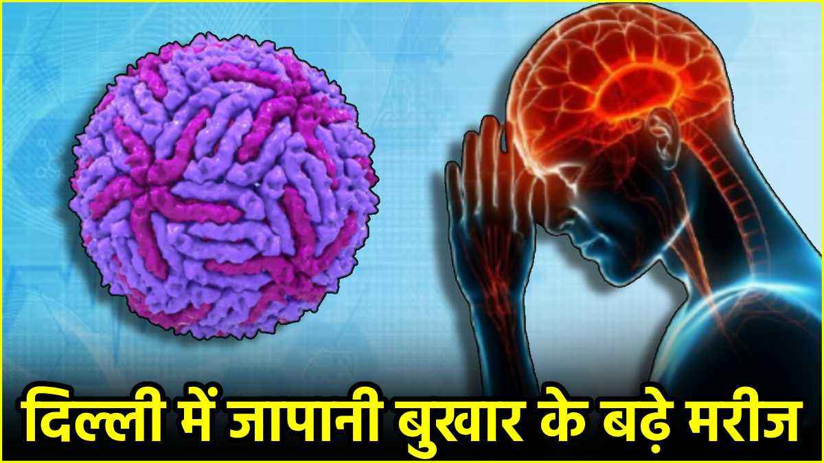जापानी बुखार आम या वायरल फीवर से अलग कैसे? जानें शुरुआती संकेत और बचाव