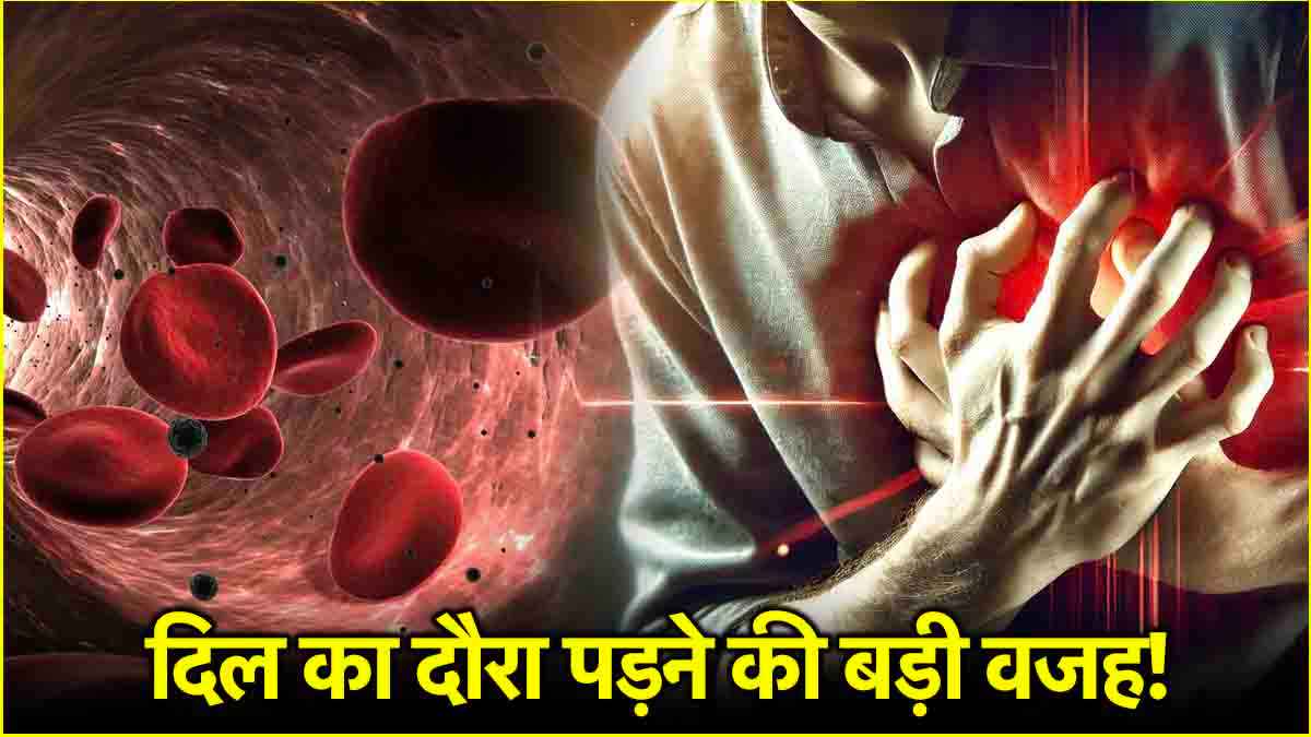 Heart Attack Cause: खून में दिखने वाले इस संकेत से हार्ट अटैक का खतरा, कैसे करें बचाव?