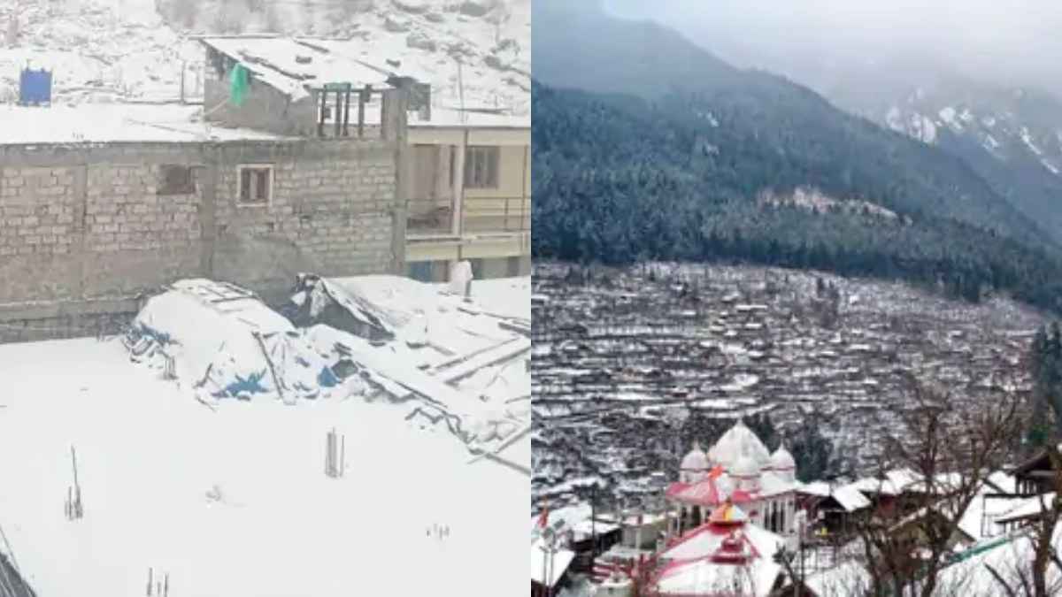 Delhi-NCR में कोल्ड डे, 11 राज्यों में कोहरा, 10 में शीतलहर की चेतावनी, जानें IMD का अपडेट