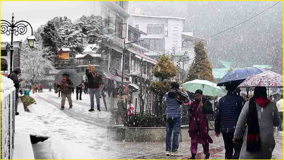 Snowfall In Shimla-1