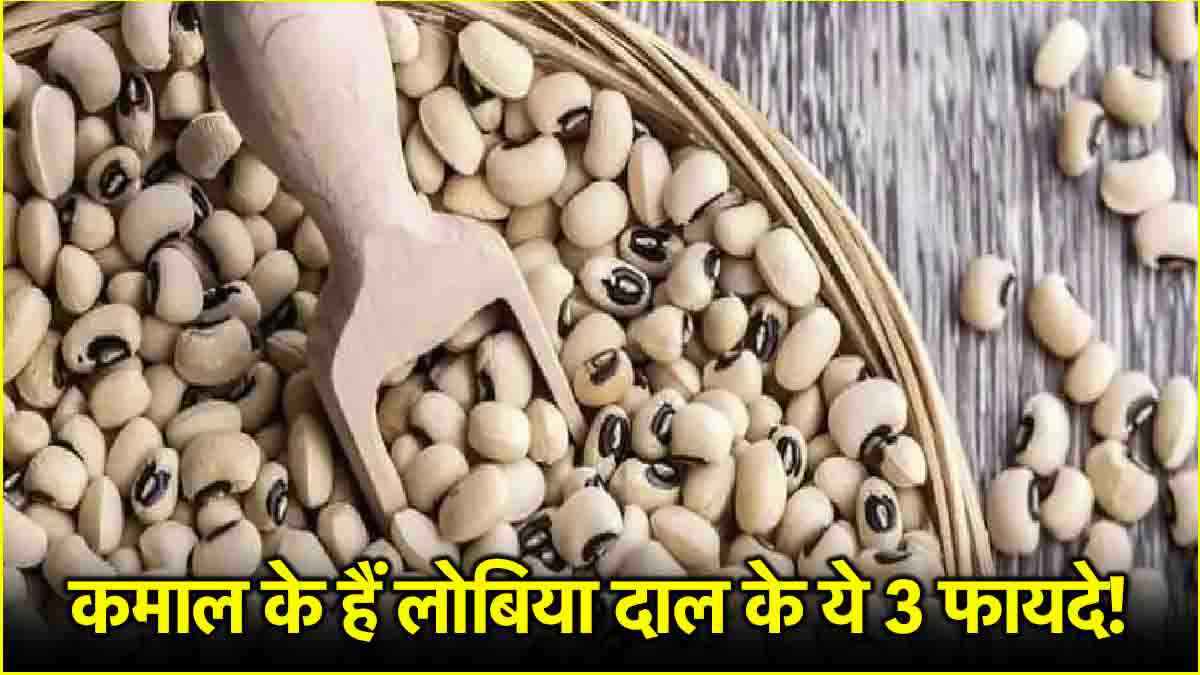 Lobia Dal Benefits: 21 दिन तक लगातार करें लोबिया की दाल का सेवन, वजन से लेकर डायबिटीज तक रहेगा कंट्रोल   