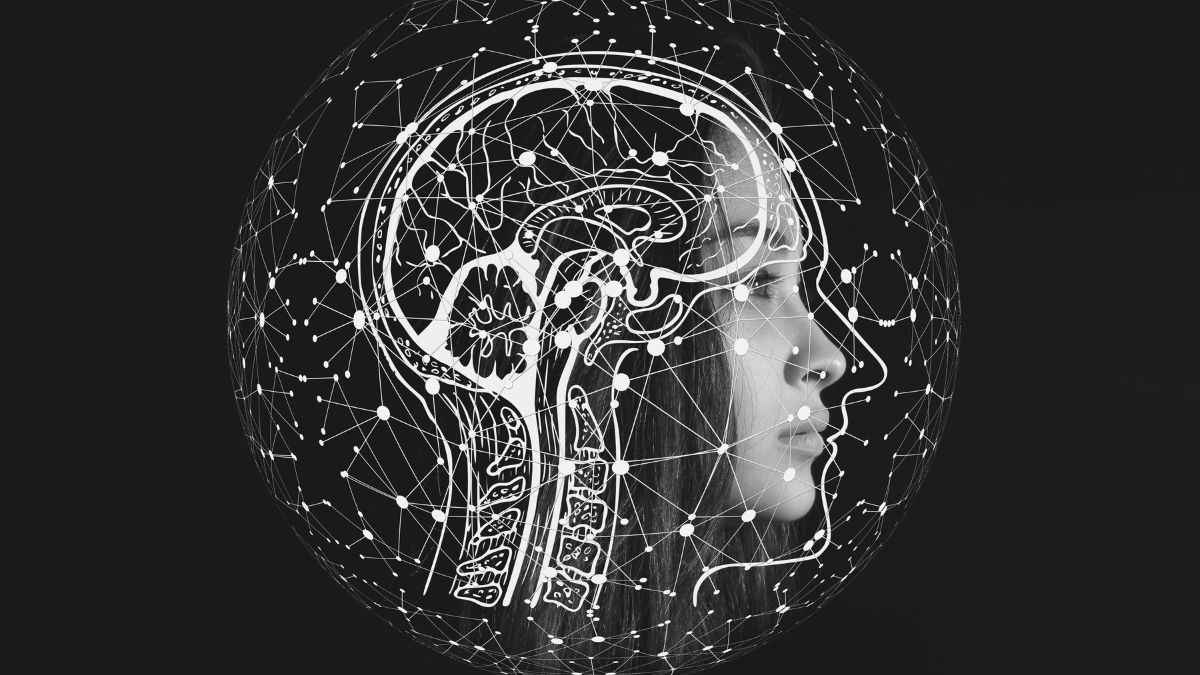 Lab grown Brain