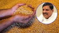 MP Increased Soybean Production