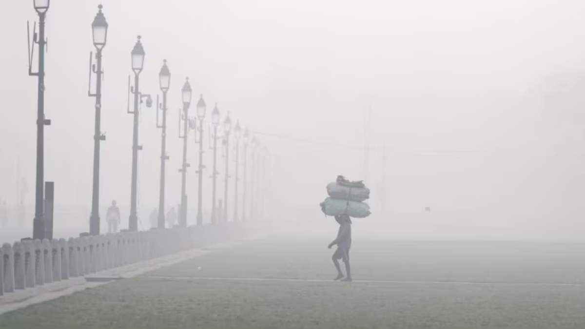 ठिठुर रहा मध्य प्रदेश! बर्फीली हवाओं से 1 डिग्री तक पहुंचा तापमान; 37 जिलों में शीतलहर का अलर्ट
