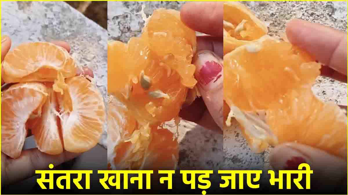 Health Tips: आपको भी पसंद है सर्दियों में संतरा खाना तो सावधान! कहीं मुंह में न जा रहा हो कीड़ा