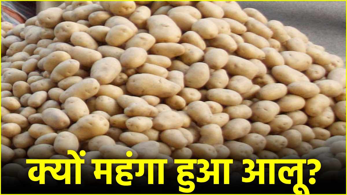 Potato Price Hike