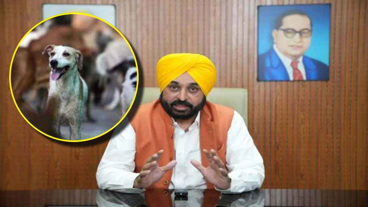 Punjab Govt Big Initiative For Animals Health Care