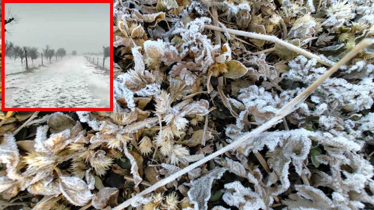 Rajasthan Weather: माइनस में पहुंचा न्यूनतम तापमान, माउंट आबू में जमी बर्फ; जानिए कब मिलेगी राहत