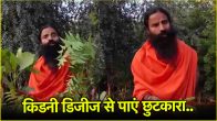 Baba Ramdev Health Tips: