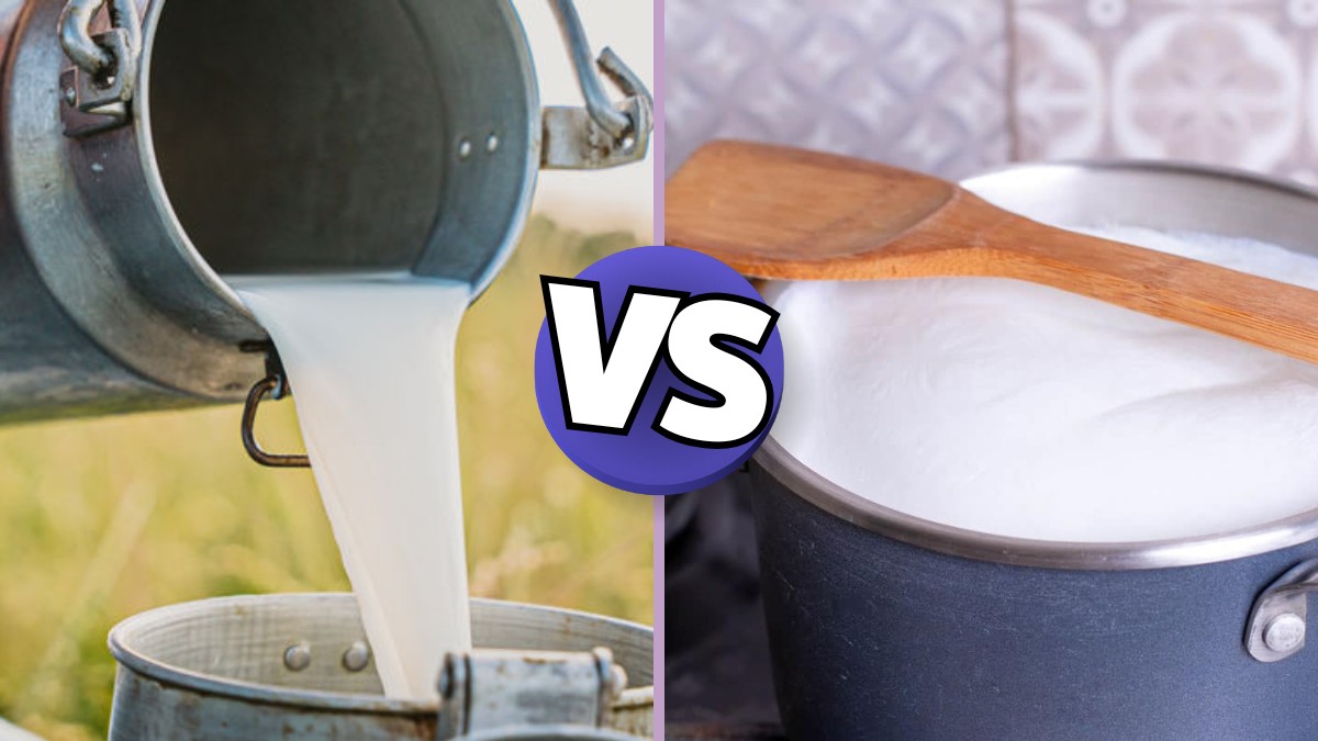 Raw milk vs boiled milk