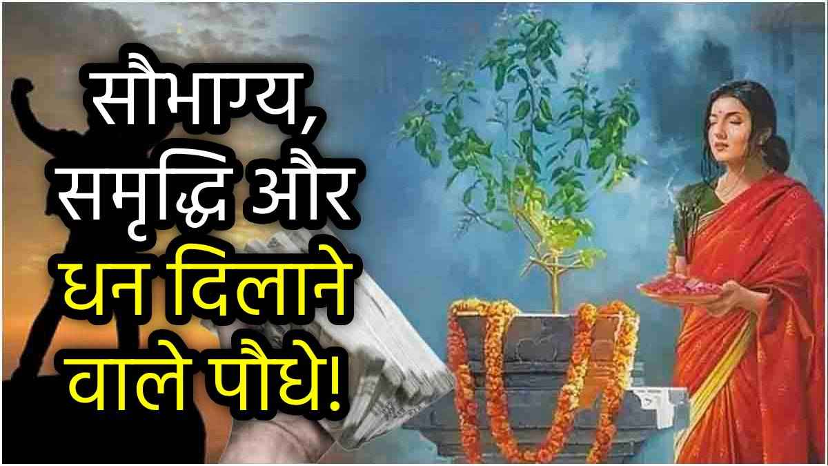 Sacred Lucky Plants: आज ही घर में लगाएं हिन्दू धर्म के ये 5 सबसे पवित्र पौधे, कभी नहीं होगी धन की कमी!