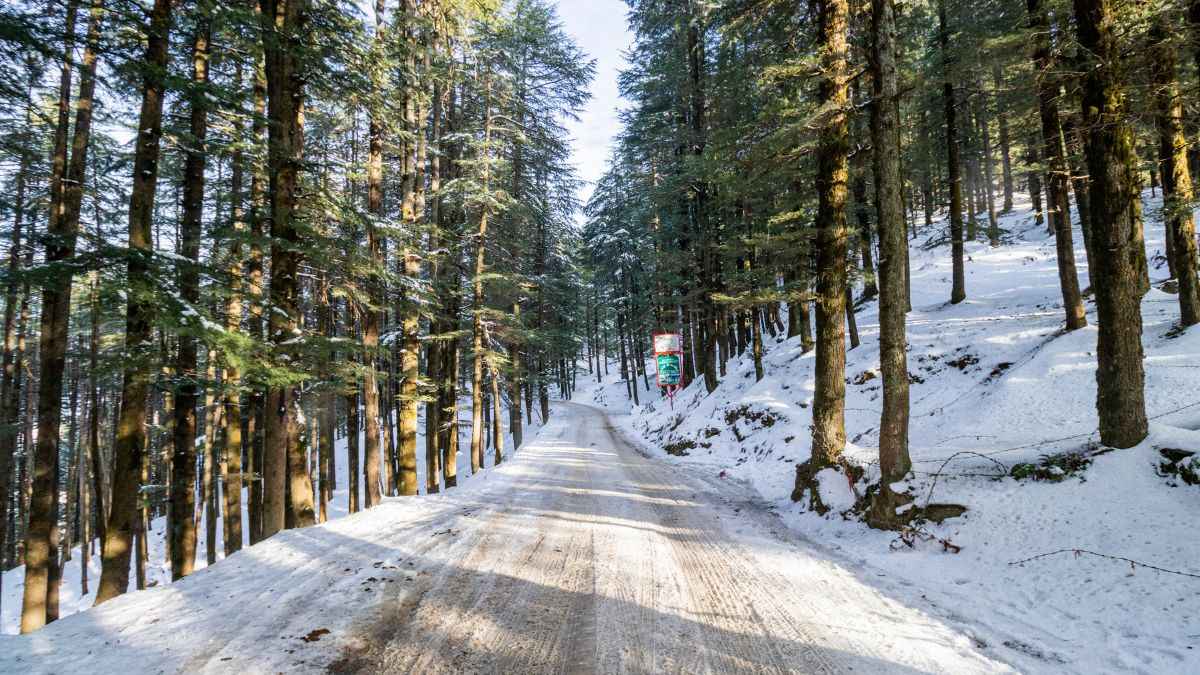 New Year 2025 में  कर रहे हैं पहाड़ों पर घूमने की प्लानिंग; जरूर चेक कर लें वेदर फोरकास्ट
