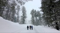 Snowfall Jammu Himachal