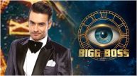 Bigg Boss 18 Vivian Dsena