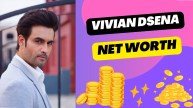 Vivian Dsena Net worth