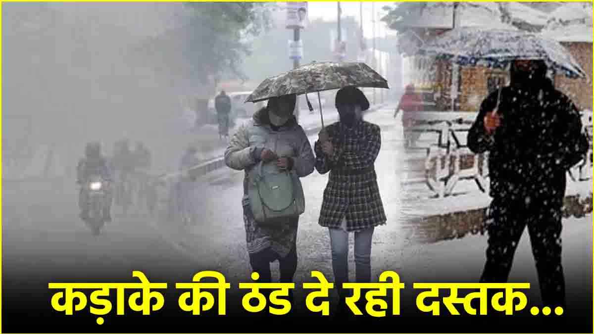 12 राज्यों में तूफान-बारिश के साथ ओले गिरेंगे; 14 में शीतलहर-कोहरे की चेतावनी, पढ़ें IMD का अपडेट