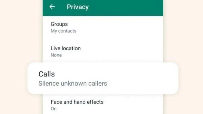 whatsapp new privacy 