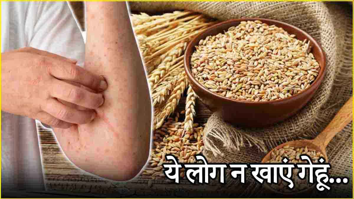 Wheat Allergy: ज्यादा गेहूं का आटा खाने से हो सकते हैं ये 7 नुकसान
