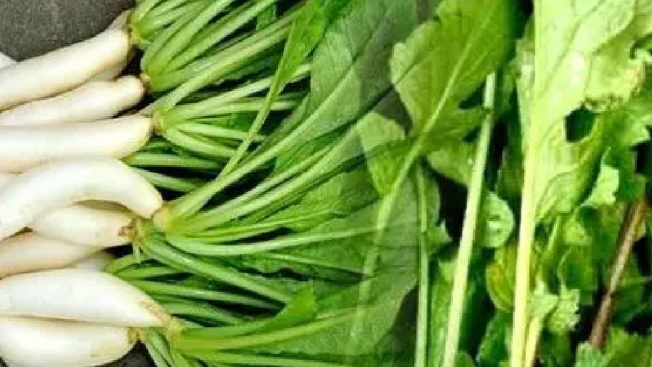 Radish Leaves Benefits