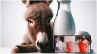 donkey milk benefits