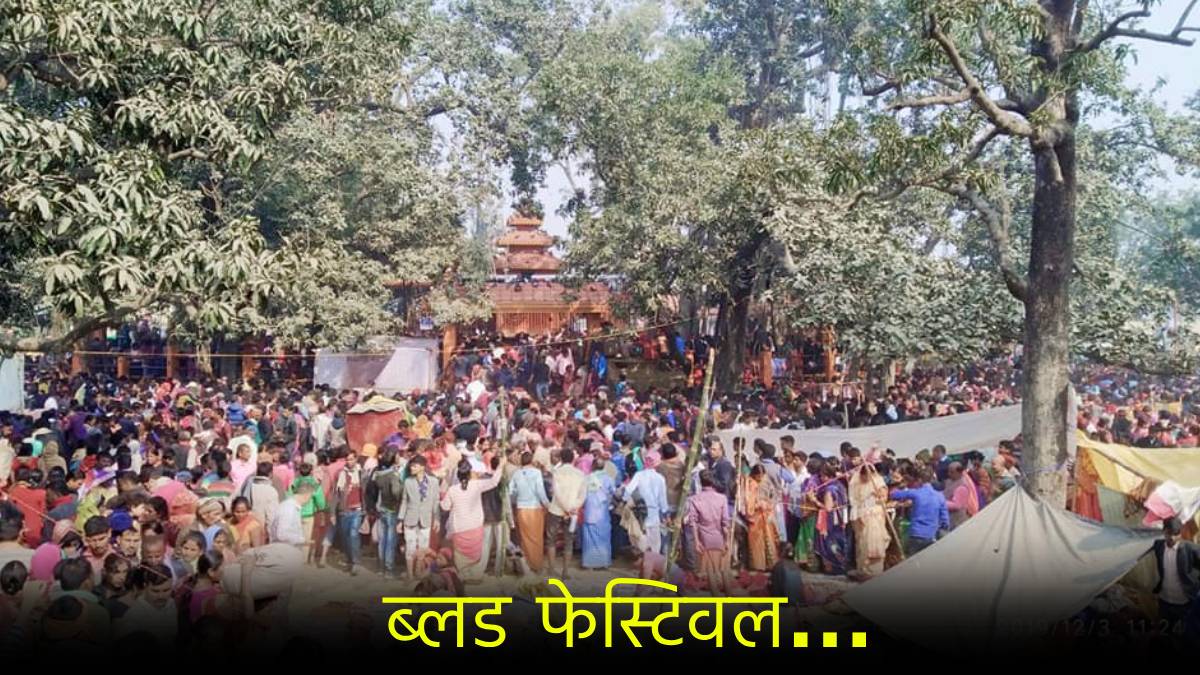 gadhimai Mata Mandir Nepal Blood Festival