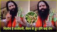 Baba Ramdev Tips