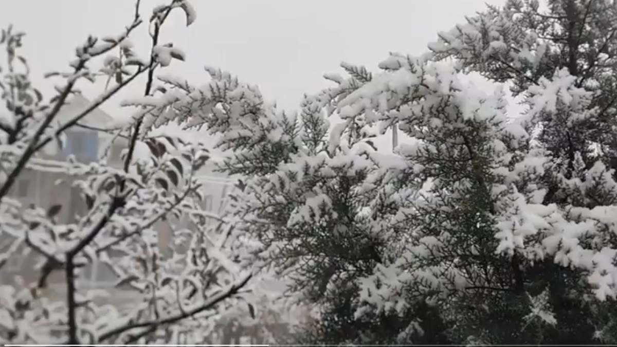 snowfall in jammu-1-2-3-4-5