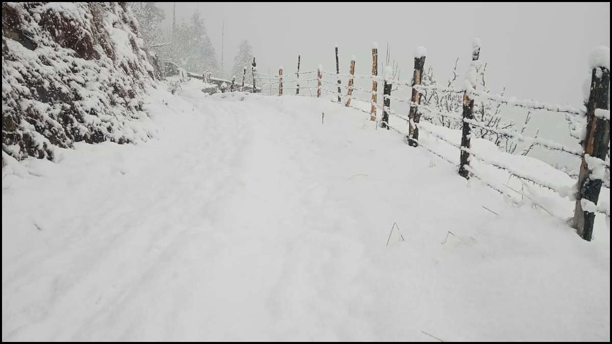 Snowfall Photos-1-2-3